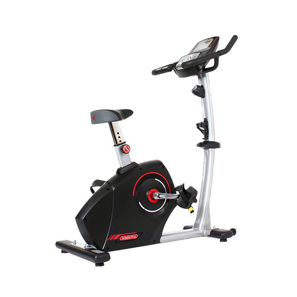 바디팩 U 상업용 입식 자전거 렌탈