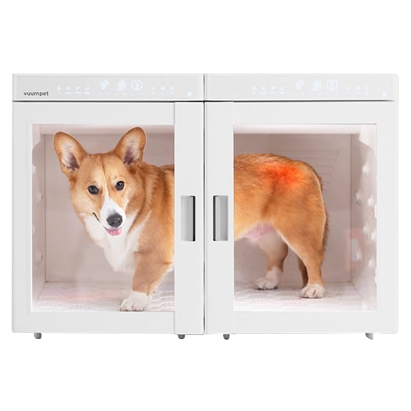 펫드라이룸 단델리온 듀얼 렌탈